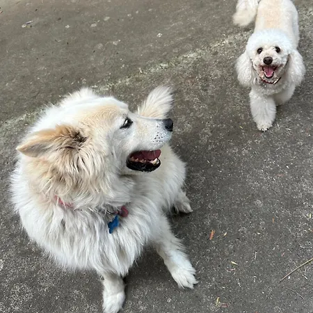 Rosemarin Orange Apartment *