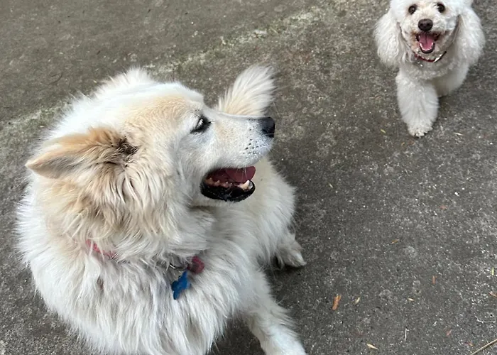 Rosemarin Orange شقة *